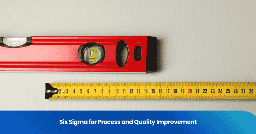 Six Sigma for Process and Quality Improvement